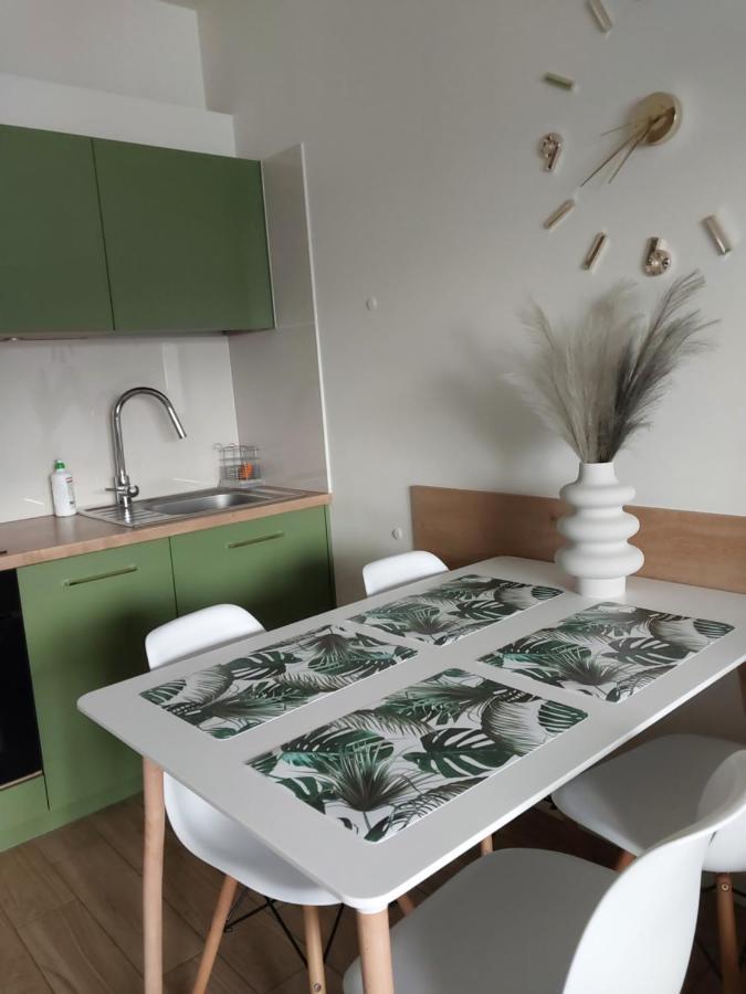Apartment Telimena